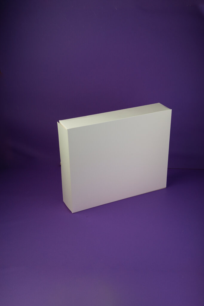 plain Self lock white color box – The Shape Factory