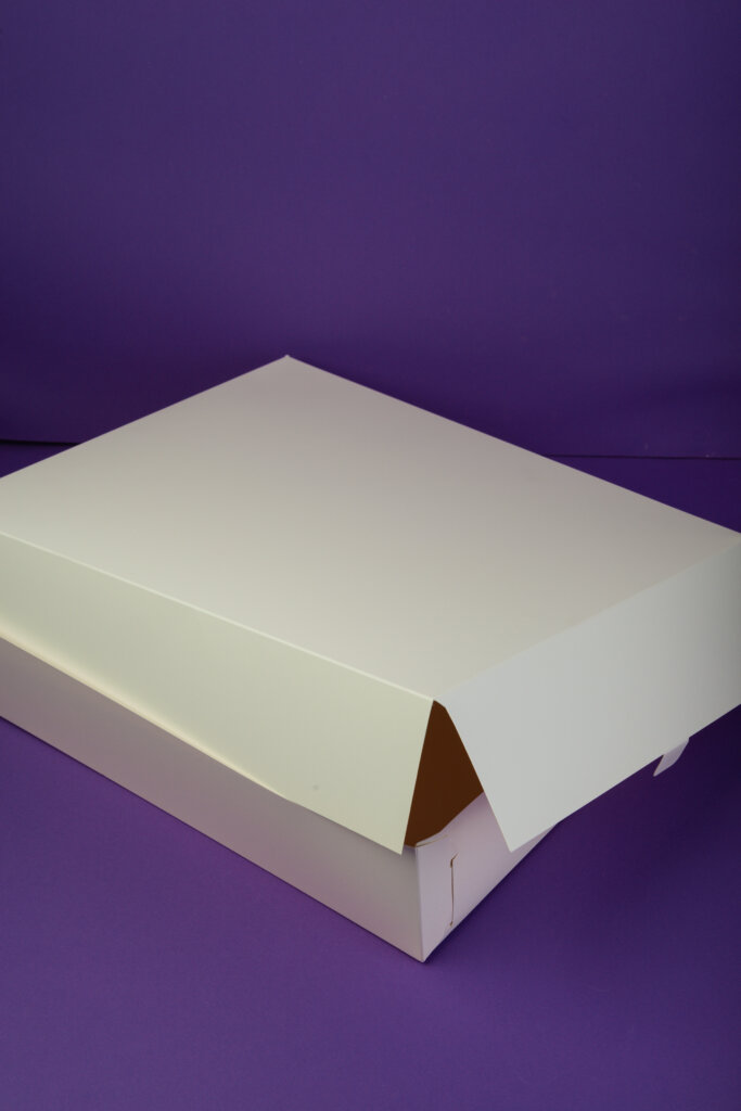 plain Self lock white color box – The Shape Factory
