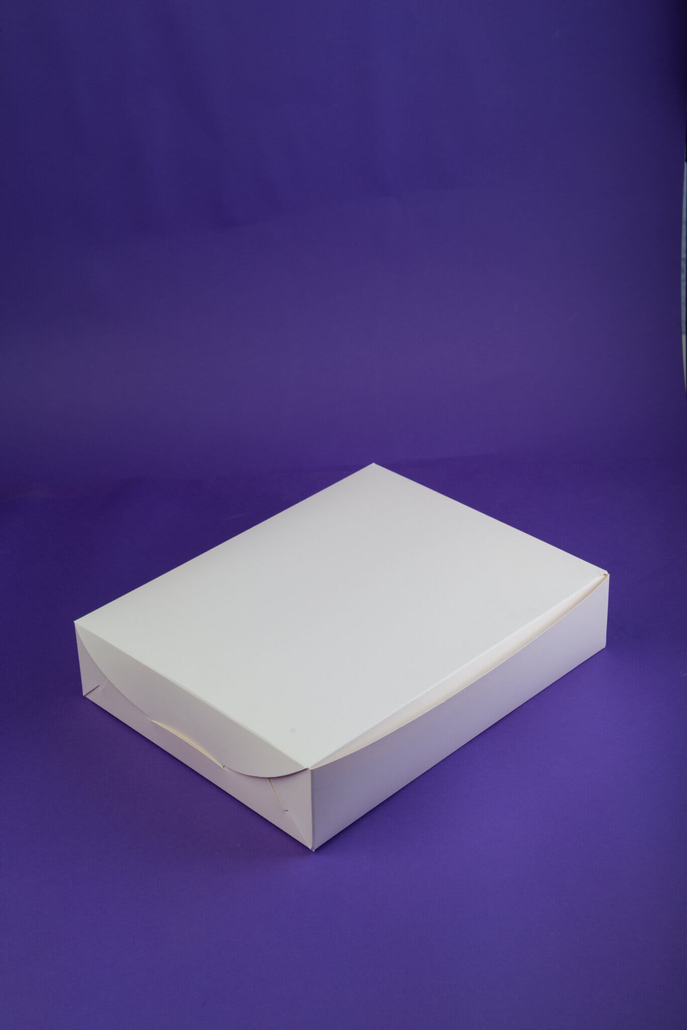 plain Self lock white color box – The Shape Factory